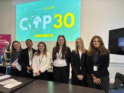 COP30 Simulation
