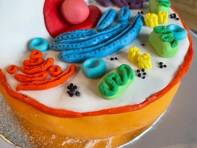 Science Week 2023: Great Science Bake Off