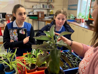 Science Week 2023: Plant Sale