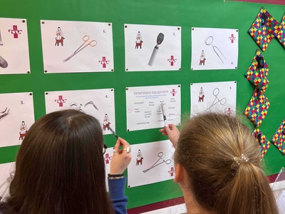 Science Week 2023: Board Quizzes