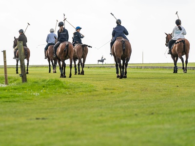 Polo at Druids Lodge