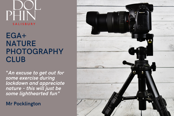 Copy Of General Nature Photography